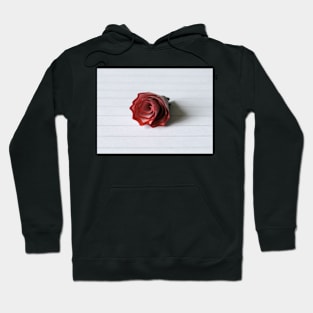 The pencil shaving of love Hoodie